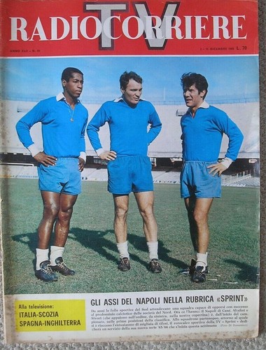 Napoli calcio cane - napoli, cane'
